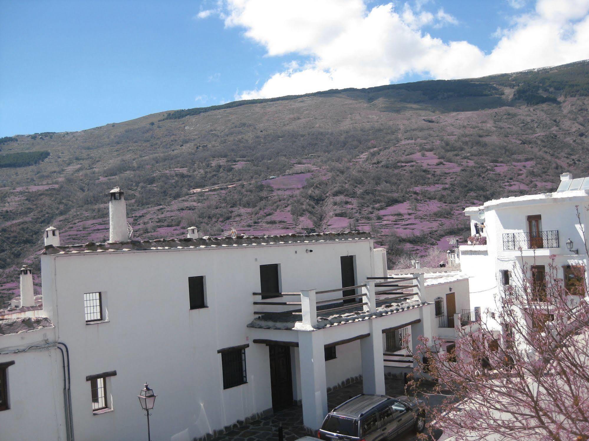 Hostal El Cascapenas De La Alpujarra Capileira Eksteriør bilde